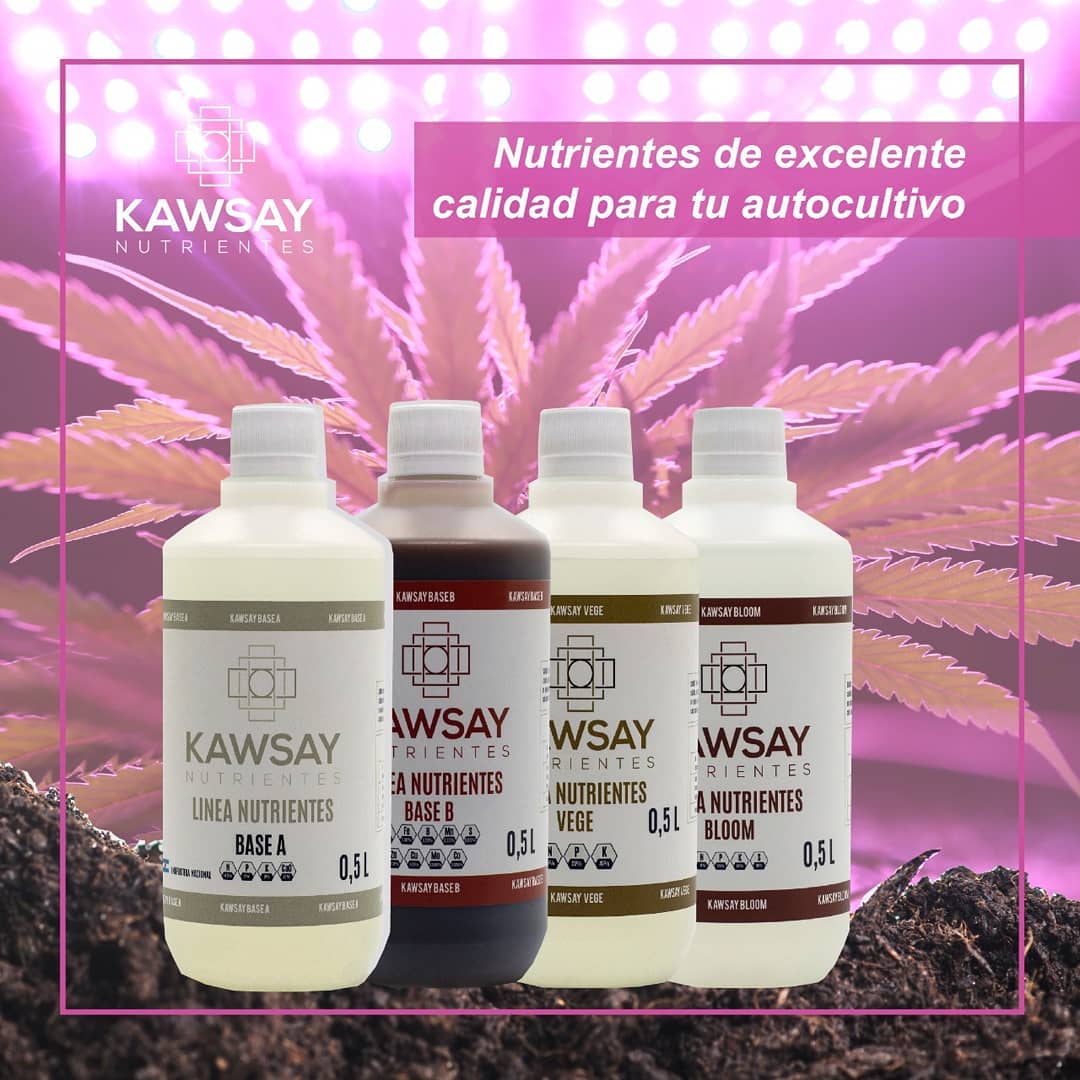 Combo 500 ml - Kawsay