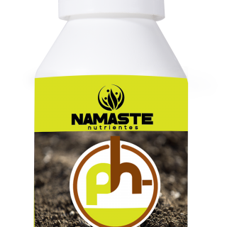 PH - 100ml - Namaste