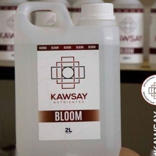 Bloom - 2 L - Kawsay