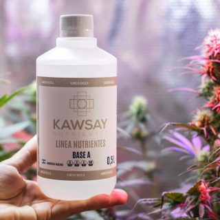 Base A 500 ml - Kawsay