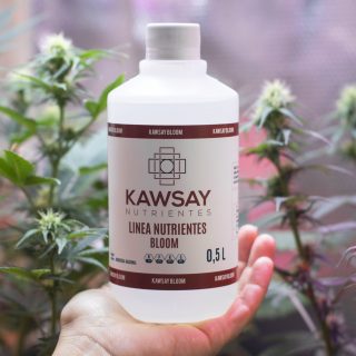 Bloom 500 ml - Kawsay