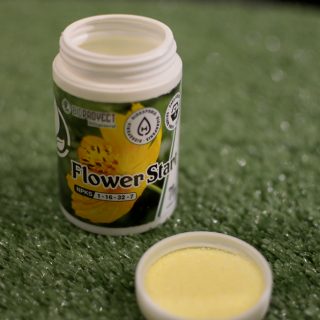 Fertilizante Floración - Flower Start 70gr - Bioproyect Sales